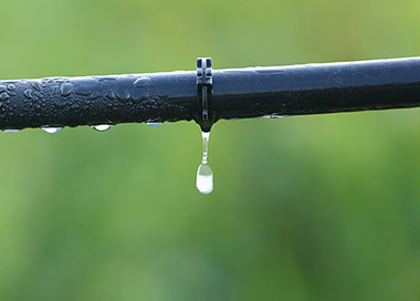 a drip irrigation installation in Fresno, CA
